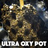 Ultra Oxy Pot 5.5 Gallon Super Air-Pruning Planter (Single)