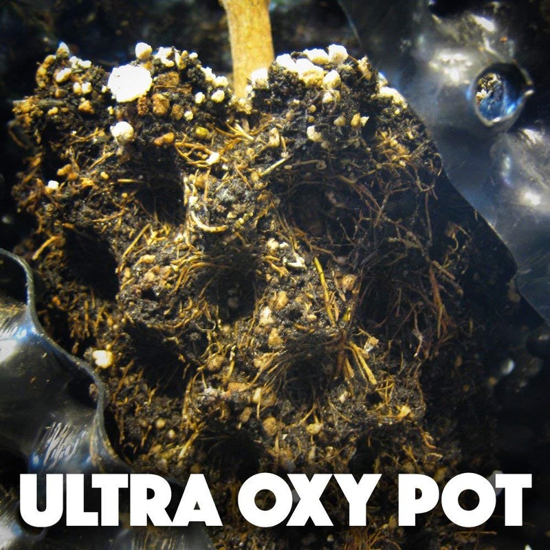 Ultra Oxy Pot 5.5 Gallon Super Air-Pruning Planter (Single)