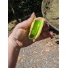 For RYOBI 6Pack For Ryobi Twisted Trimmer Line Spool For