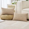 2Pcs Cushion Covers 30cm x 50cm, Corduroy Decorative Throw Pillow