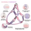 AIITLE Dog Harness and Leash Set - No Pull Pet