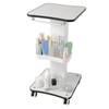 3 Tier Beauty Cart Salon Spa Mobile Cart with Wheels,