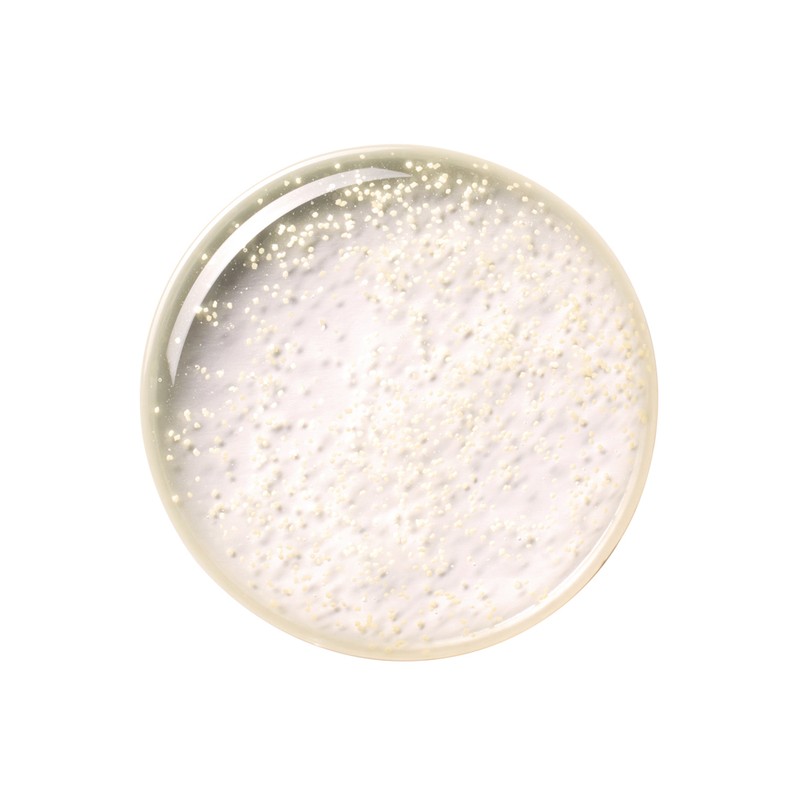 The Face Shop Yehwadam Cheonsongyi Mushroom Mucin Nourishing Firming Cream