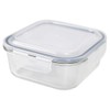 Michael Graves Design MG51737 Food Storage Container, Rectangle: 40 oz,