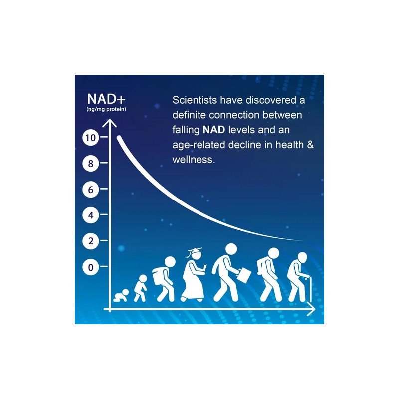 Ucessuyy Nmnh 500mg 60 Cápsulas Suplemento Nad+ Antiedad