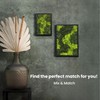 comforder Rectangular Real Moss Wall Art Picture 6.7x 9.4”/ 17x24cm,