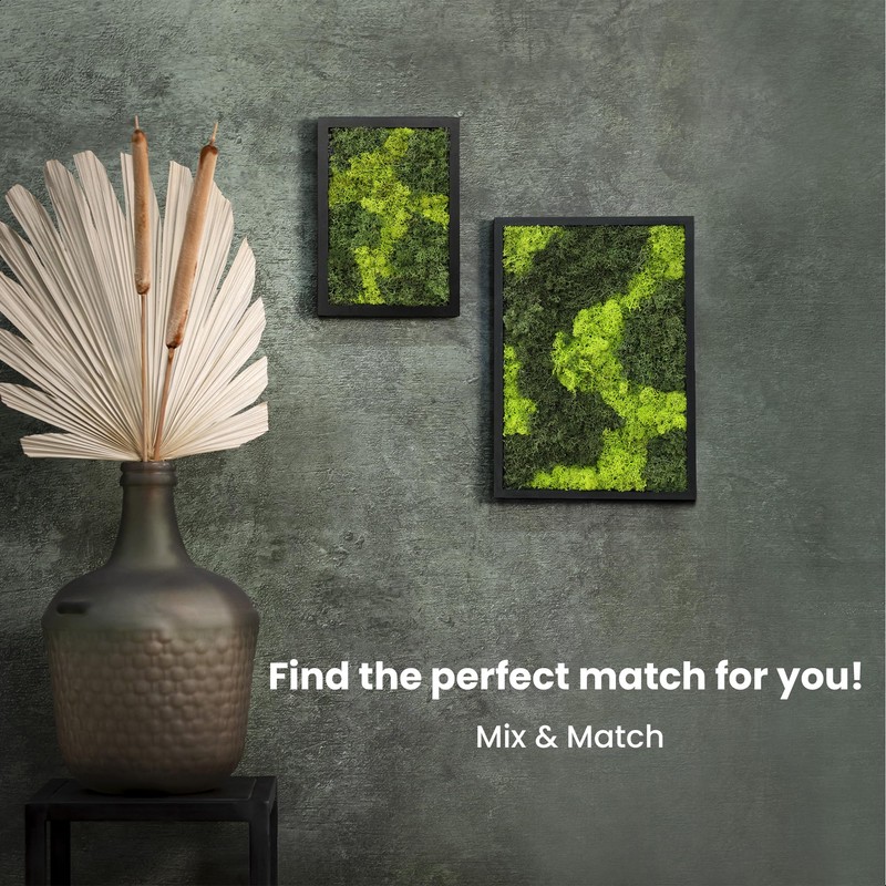 comforder Rectangular Real Moss Wall Art Picture 6.7x 9.4”/ 17x24cm,