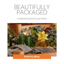 AGRARIA AirEssence & PetiteEssence Flower and Reed Diffuser Set, Luxury Home Fragrance Set, Scented Oil Reed Diffuser Gift for All Occasions