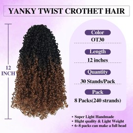 Yanky Twist Crochet Hair for black women 12 Inch 8 Packs 30 Stands/Pc,Pre-looped Fluffy Spring Mini Twist Passion Twist Black Ombre Brown Synthetic Crochet Braids Braiding Hair(12 Inch, OT30-8P)