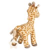 Musical Box M Giraffe Kaya