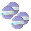 캐치맙 원형수세미, 2개입, 2개 Catchmop Round Scrubber, 2 Pieces
