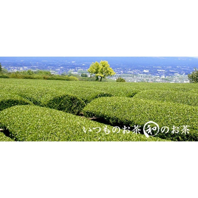 Try Green Tea Hanako Sakura Green Tea Bag, 0.08 oz