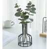 2 Pcs Black Flower Vase with Metal Frame, Clear Glass