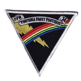 Carrier Air Wing 14 CVW-14 Patch – Plastic Backing/Sew On, 4.5"