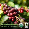 Tiny Footprint Coffee - Fair Trade Organic Peru APU Medium
