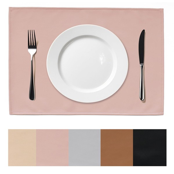 AIJOVIKO Placemats Set of 4 Waterproof,wipeable Faux Leather Table Mats,12