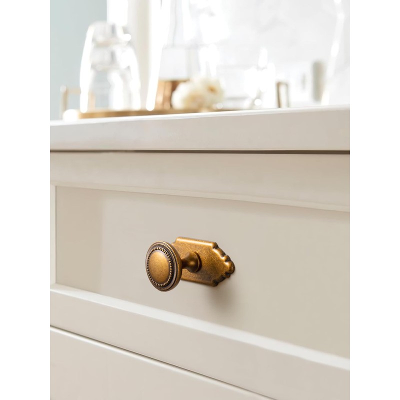 Goo-Ki Antique Brass Cabinet Knobs with Backplate Zinc Alloy Kitchen