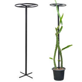 GOOOXIM 14"x14"x60" 1PCS Dragon Fruit Trellis - Durable Metal Vertical Support Frame for Climbing Plants, Easy Assembly with Instructions, for Dragon Fruit Enthusiasts