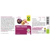 RAAB Vitalfood Organic Maca Capsules, 80 capsules – Pack of