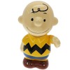Peanuts Charlie Brown 3D Coin Bank
