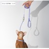 BuddyArmor Cat Harness and Leash Set, Lightweight Escape Proof Cat