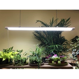 Miracle LED Hydroponics 4-Foot Hangable LED Commercial Grow Light with Pull Cord and Hanging Chains, Full Spectrum, 1 Count (Pack of 1)