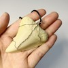 Great White Shark Tooth Replica Necklace,2.5 inch