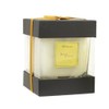 Lady Primrose, Royal Extract Boxed Jar Candle, 12 Ounces