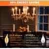 ALAMPEVER E12 LED Bulbs, Dimmable Chandelier Light Bulbs 40 Watt