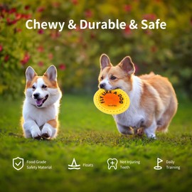 TANOFALO Dog Flying Disc, Dog Flyer Toy 10 Inch, Tear Resistant Soft TPR Material, Durable Interactive Outdoor Dog Fetch Toy-Floats in Water, Safe on Teeth for Large Dog, Puppies(Orange+Pink)