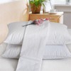 Dudu N Girlie Waterproof Pillow Protector Zipped 2 Pack Cotton