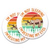 Sloth Coasters Set of 2, Office Desk Drink Coasters for