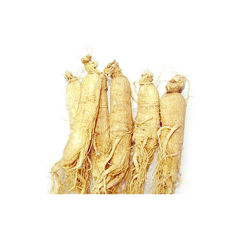 Raw Korean Ginseng 6 Years Root Approx. 6.3 oz (180