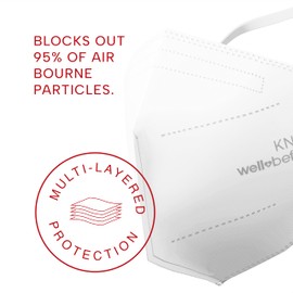 Well Before KN95 Disposable Face Mask | Individually Wrapped 5-layer Protection Mask with Adjustable Headstrap Making It Comfortable Face Masks - 10 Pack.