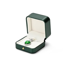 Papten Chain Storage Jewellery Storage Pendant Necklace Organiser Jewellery Box Jewellery Gift Box for Birthday (Green)