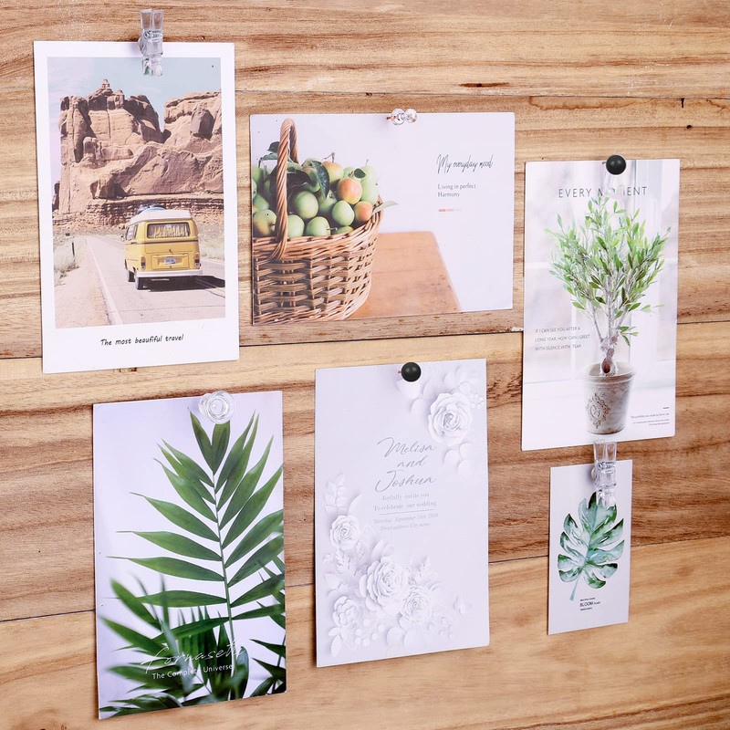 AIEX 125pcs Push Pins Set, Including Plastic Push Pin Hook