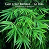 Real Growers Bamboo Special 13-5-11 – 12-Month Slow-Release Fertilizer for