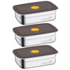 Stainless Steel Food Storage Containers, Home Freezer Snack Pack Containers,