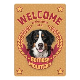 Bernese Watchboard Welcome to Home