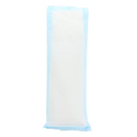 Healeved Sanitary Cold Cushion for Postpartum Relief Ice Pad for Caesarean Section Nursing Absorbent Cooling Pack for Pregnant Women Easy to Use Multifunctional Postpartum Therapy