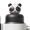 Straw Water Bottle Large Capacity Leakproof Cute Portable Dual Drink
