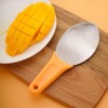 CENPEK Multi-Purpose Mango Slicer Spoon,Stainless Steel Mango Slicer Spoon,Fruit Pit