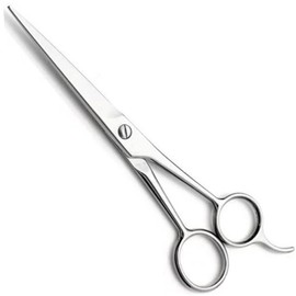 YNR Professional Hairdressing Scissors – Hair Cutting Scissor for Barbers & Salon, Stainless Steel Hair Scissors for Men, Women & Children | (Silver) 6 Inches