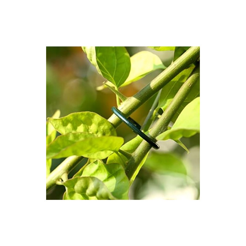 Tildenet Plastic Coated Plant Rings, Black