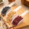 18 Pcs Candy Scoops for Candy Buffet, Mini Ice Cream