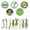 Rejuvenation Therapeutics Rejuvenation Therapeutics Bone Power Trio