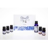 Yangsen Biotechnology Herbal Herb Essential Oil Divine Home Care Set