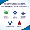 OUT ProWash Workwear Stain Remover Laundry Detergent and Odor Eliminator,
