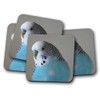 4 Set - Pretty Blue Budgie Coaster - Budgerigar Bird