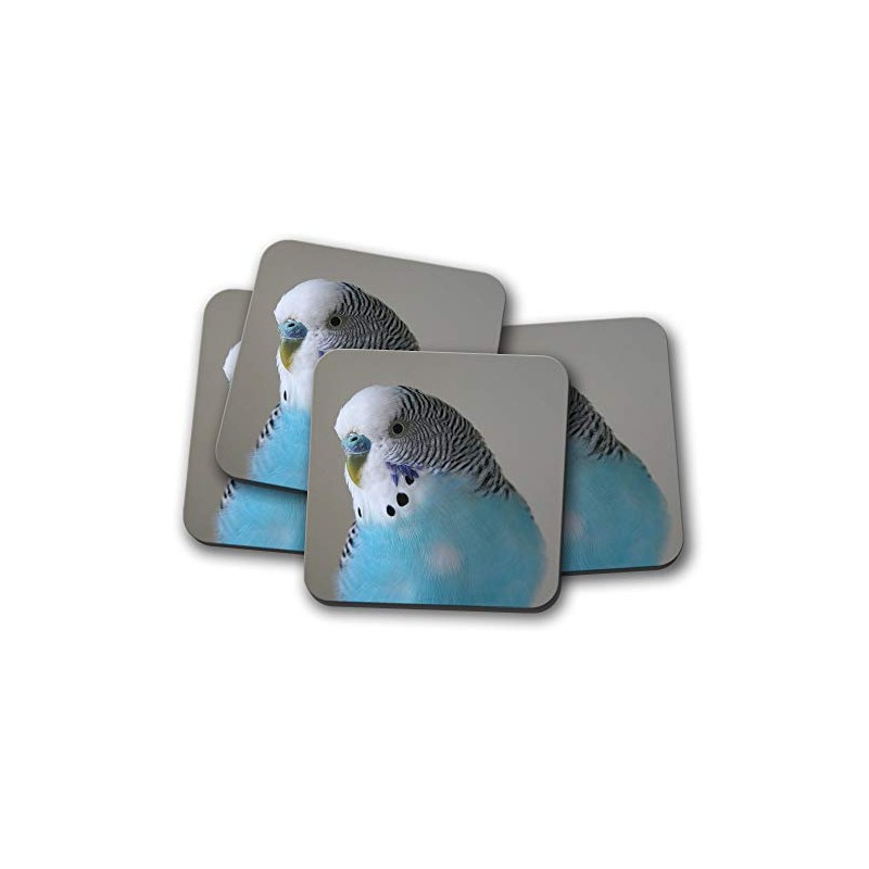 4 Set - Pretty Blue Budgie Coaster - Budgerigar Bird